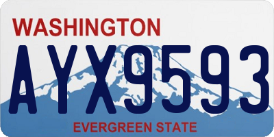 WA license plate AYX9593