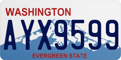 WA license plate AYX9599