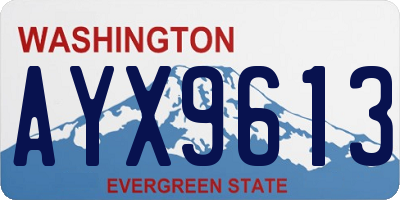 WA license plate AYX9613