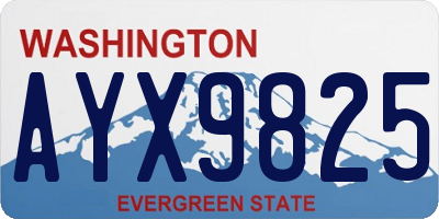 WA license plate AYX9825