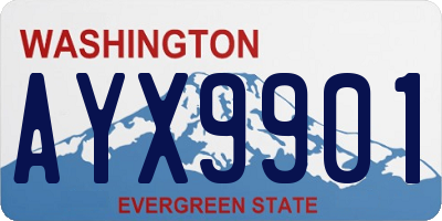 WA license plate AYX9901