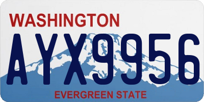 WA license plate AYX9956