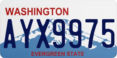 WA license plate AYX9975