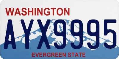 WA license plate AYX9995