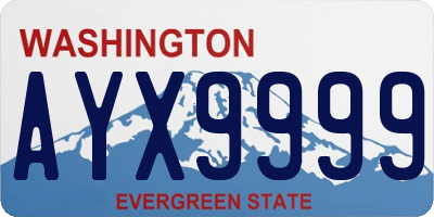 WA license plate AYX9999