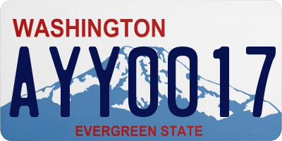 WA license plate AYY0017