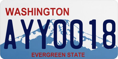 WA license plate AYY0018