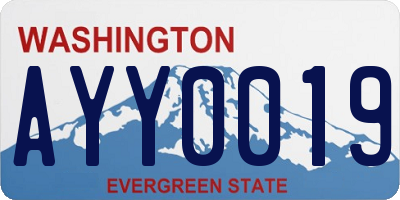 WA license plate AYY0019