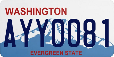 WA license plate AYY0081