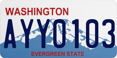 WA license plate AYY0103