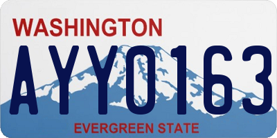 WA license plate AYY0163