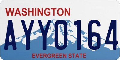 WA license plate AYY0164