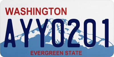 WA license plate AYY0201