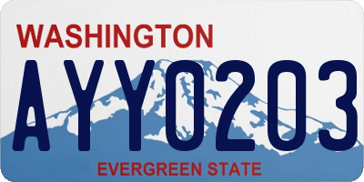 WA license plate AYY0203