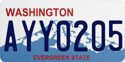 WA license plate AYY0205