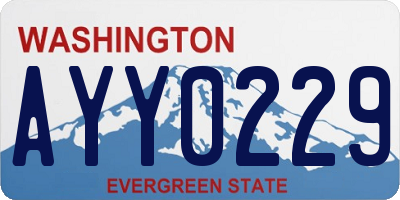 WA license plate AYY0229