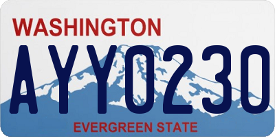 WA license plate AYY0230