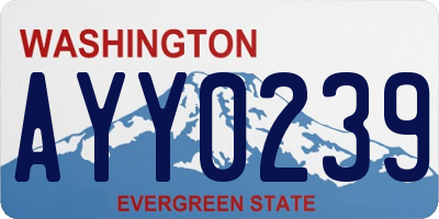 WA license plate AYY0239