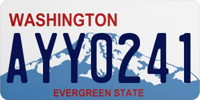 WA license plate AYY0241