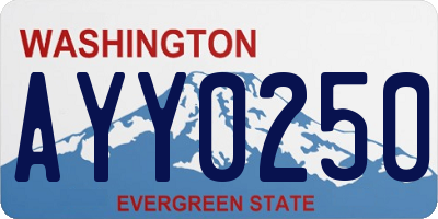 WA license plate AYY0250