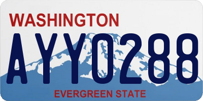 WA license plate AYY0288