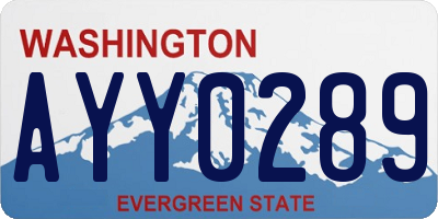 WA license plate AYY0289