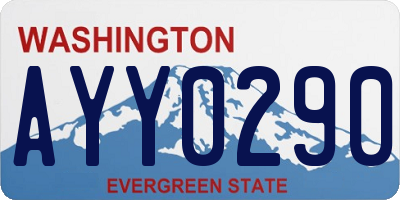 WA license plate AYY0290