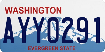 WA license plate AYY0291