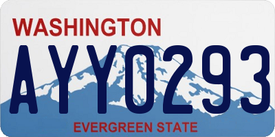 WA license plate AYY0293