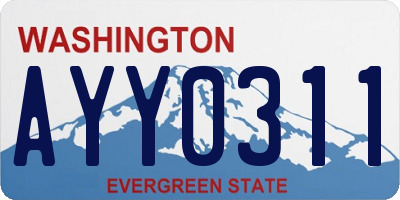 WA license plate AYY0311