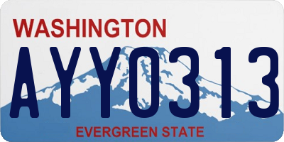 WA license plate AYY0313