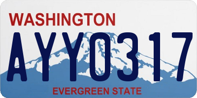 WA license plate AYY0317