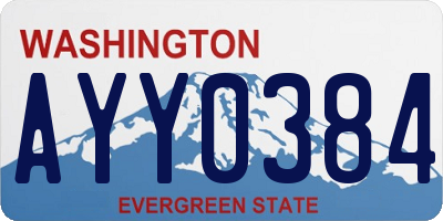 WA license plate AYY0384