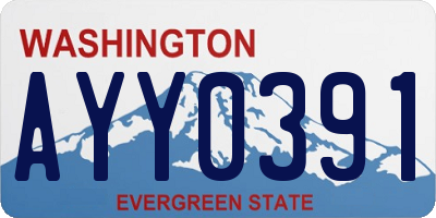 WA license plate AYY0391