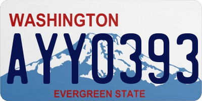 WA license plate AYY0393