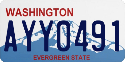 WA license plate AYY0491