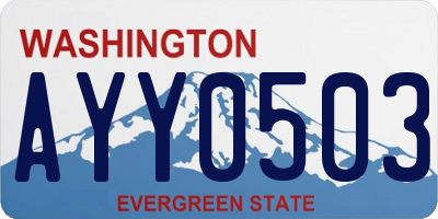 WA license plate AYY0503