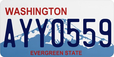 WA license plate AYY0559