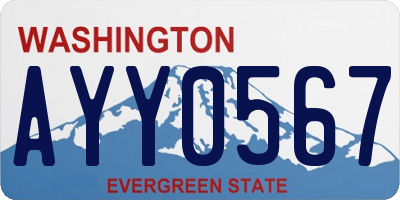 WA license plate AYY0567