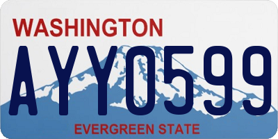 WA license plate AYY0599