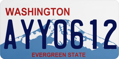 WA license plate AYY0612