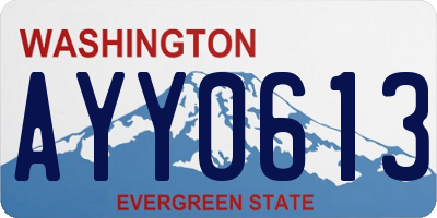 WA license plate AYY0613