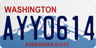 WA license plate AYY0614