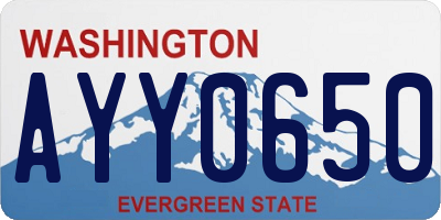 WA license plate AYY0650