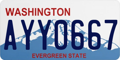 WA license plate AYY0667