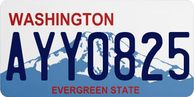 WA license plate AYY0825