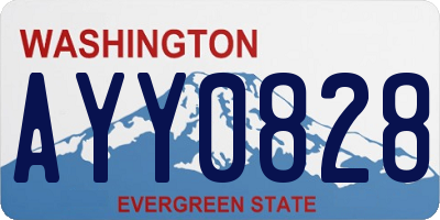 WA license plate AYY0828