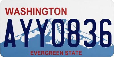 WA license plate AYY0836