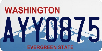 WA license plate AYY0875