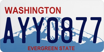 WA license plate AYY0877